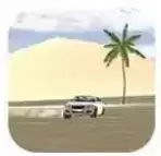 汽车驾驶甩尾王