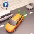 expert