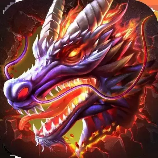 掌玩