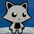 浣熊派对