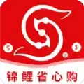 锦鲤省心购