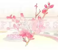 flowers夏篇