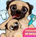 狗宝宝
