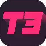 T3