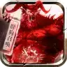 道士召唤30条狗传奇