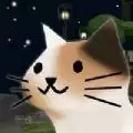 猫猫与鲨鱼