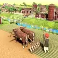 农业专家模拟器