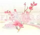 flowers夏篇