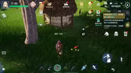 《诺亚之心》倒霉的乞丐奇遇攻略 诺亚之心倒霉的乞丐怎么完成2