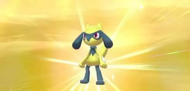 宝可梦剑盾闪光和不闪光区别_1 宝可梦剑盾闪光和不闪光区别