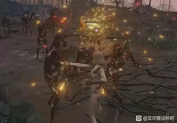 艾尔登法环1.04什么武器厉害 艾尔登法环1.04主流武器强度分享