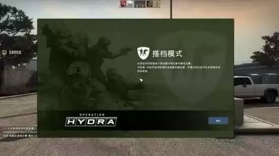 csgo搭档模式什么意思