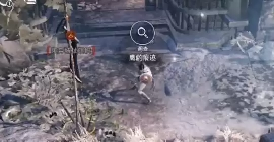 黑色沙漠鹰的痕迹位置 三处鹰的痕迹位置一览图片2