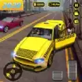 Pro Taxi Driving