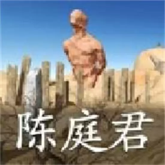 孙美琪疑案陈庭君安卓最新手游