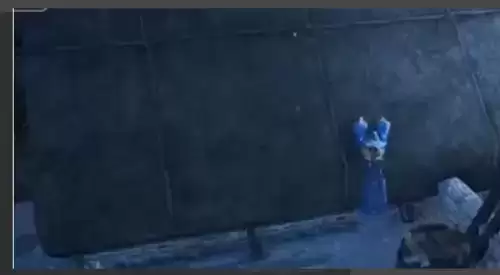 黑色沙漠手游消失的浣熊任务完成攻略2