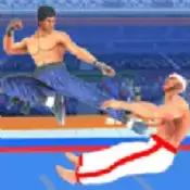 功夫空手道格斗