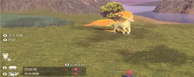 头目宝可梦和普通有什么区别