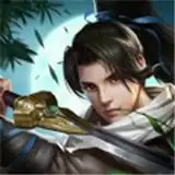 武炼巅峰之武道职业