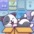 有趣的小猫