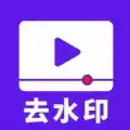 流年去水印
