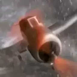 迷失森林手机