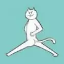 围住神经猫