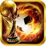 荣耀足球钻石金币