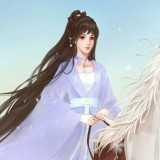 明月韶歌金手指