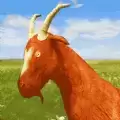 我打拳特牛