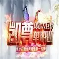 凯尊单职业