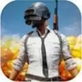pubg mobile国际服