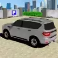 停车专家3D模拟器