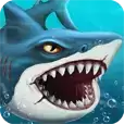 鲨鱼世界