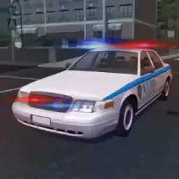 警察巡逻模拟器3D
