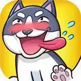 二哈去哪嗨攻略