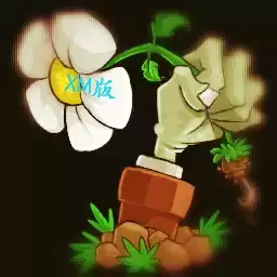 PVZXM