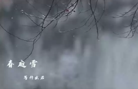 抖音我心匪石不可转我心匪席不可卷是什么歌 歌曲《春庭雪》演唱者及歌词介绍