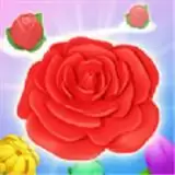 花朵连连消