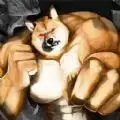 躲猫猫3D版