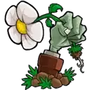 植物大战僵尸苹果