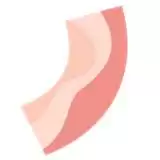 美食模拟器能倒出零食