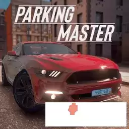 真实停车场停车大师