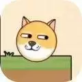 狗狗蜜蜂