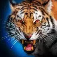 荒野老虎家庭模拟器