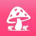 蘑菇赏