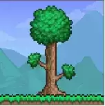 terraria1.4国际
