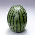 瓜瓜惊魂