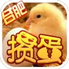 南京掼蛋安装