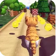丛林猫跑